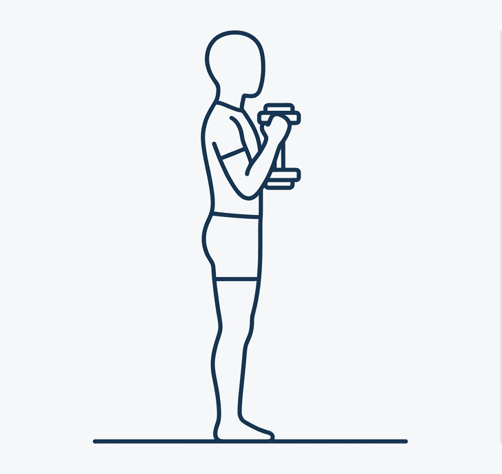 Goblet squat